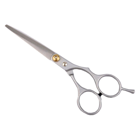 Professional Hair Scissors Set